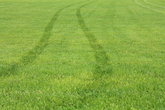 Green Grass with track background