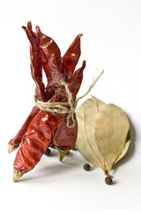 Bunch of red chilies And a bay leaf it is isolated on the white