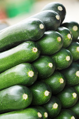 Zucchini