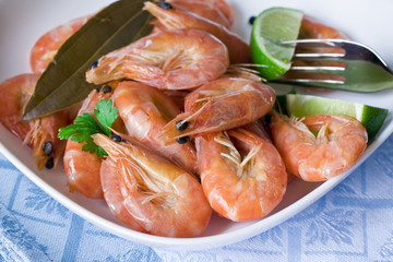 Shrimps in a white plate