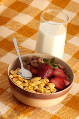 cereals bowl