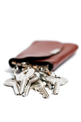 Keys in a brown leather case isolated against white background