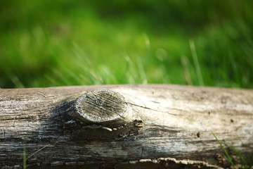 Log on grass
