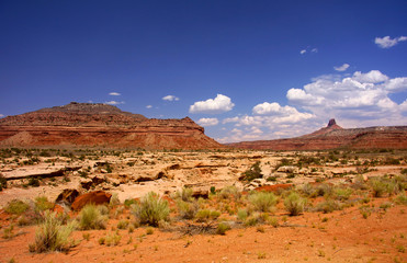 Glen canyon recreation area
