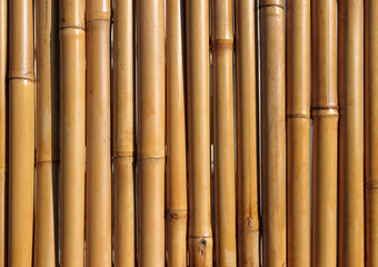 Old bamboo wood fence close up.