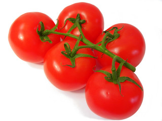 Juicy red tomatoes isolated on white background