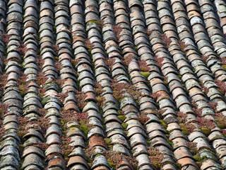 Vieille toiture d'Ardèche