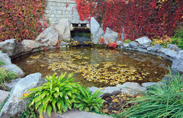 Small pond in autumn city park