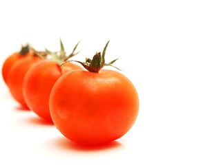 Tomato