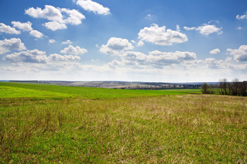 Spring on meadow landscape