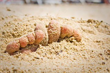 Feet buried in sand