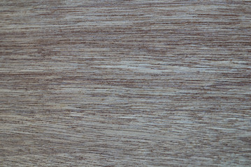 Wooden Surface