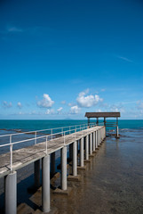 Fototapeta premium dock