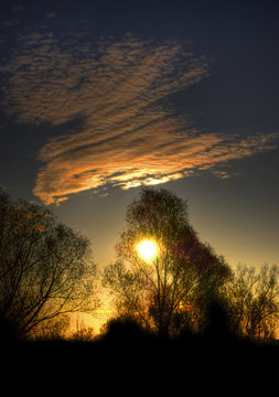 Sunrise over a forest