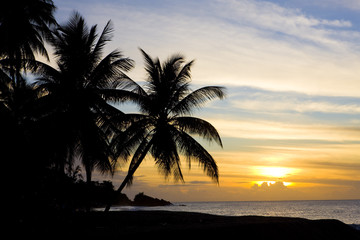 Fototapeta na wymiar sunset over Caribbean Sea, Turtle Beach, Tobago