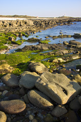 paisaje natural de la costa, galicia
