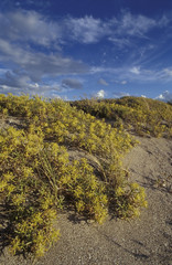 Dune and sky in Patagonia.