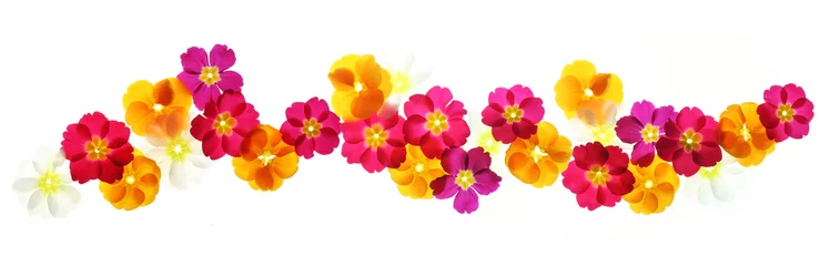 Türaufkleber Sommerblumengrenze © Acik