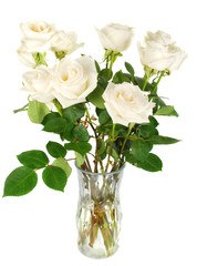 White roses