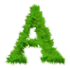 High resolution grass font isolated on white background