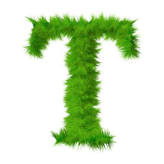 High resolution grass font isolated on white background