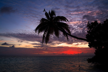 Naklejka na ściany i meble Maldivian Sunset