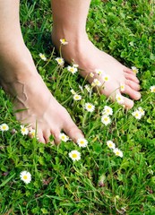 Les pieds dans l'herbe