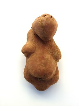 foetus