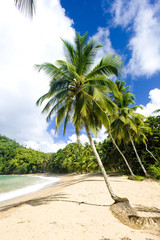 Englishman's Bay, Tobago