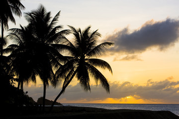 Obraz premium sunset over Caribbean Sea, Turtle Beach, Tobago