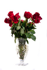 Cut Glas Vase of Red Roses on White