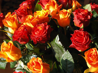 Beautiful bunch of roses