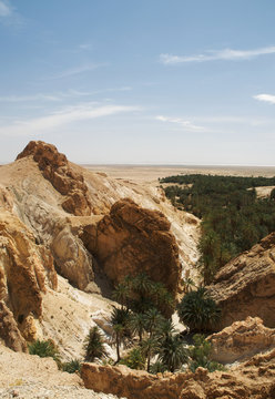 Oasi di Montagna in Tunisia