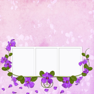 Summer background with frames