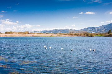 Fototapeta na wymiar Agia Lake