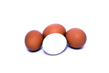 white and colored eggs