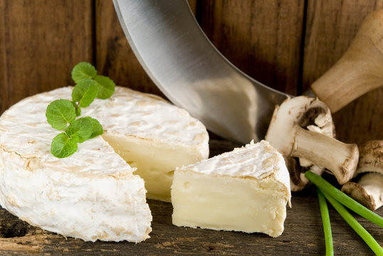 camembert cheese