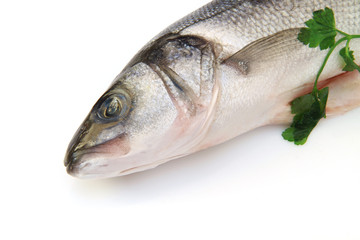 testa del branzino