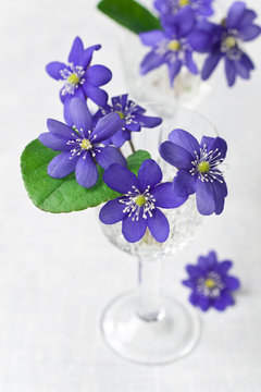 Beautiful Dark Blue Flowers In A Small Vase