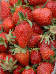 fraises