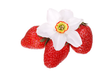 Fresh strawberry and flower isolated