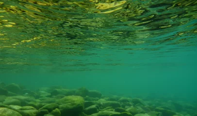 Rolgordijnen Underwater background © DeshaCAM