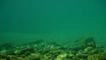 Rolgordijnen Rivier Underwater background