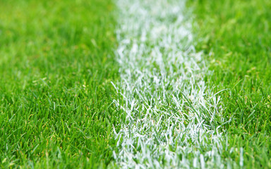 Fußball Rasen - Soccer Grass