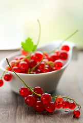 red currant