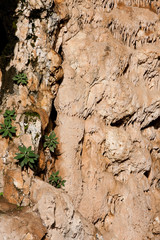 Agia Sofia Cave