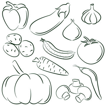 Vegetable doodles