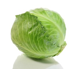 Obraz premium cabbage
