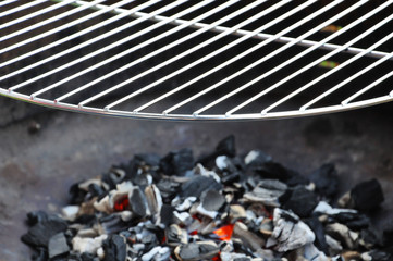 Holzkohle + Grillrost