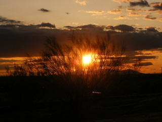 Paisaje en Villaviciosa